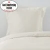 Non Iron Plain Dye Ivory Continental Square Pillowcase 1 Non Iron Plain Dye Ivory Continental Square Pillowcase -Habitat Store 30241282