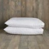 Pack Of 2 Teflon Stain Resistant Pillow Protectors -Habitat Store 30281326