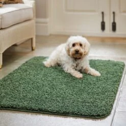 Marvel Shaggy Washable Rug 39 Marvel Shaggy Washable Rug -Habitat Store 30770271 alt01
